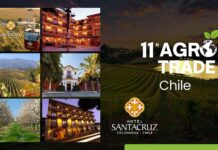 Agrotrade & Agronight Chile 2025: desde Santa Cruz al mundo