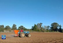 Alfalfa Kauke: Innovación nacional para el secano ante la sequía Alfalfa Kauke: Innovación nacional para el secano ante la sequía