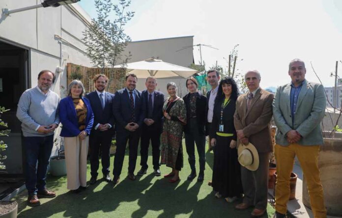 Alianza entre FAO, Subsecretaría de Agricultura y CRUCH acerca formación en agronomía hacia una agricultura sostenible