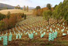 Amplían plazo de postulación al concurso público de cambio climático