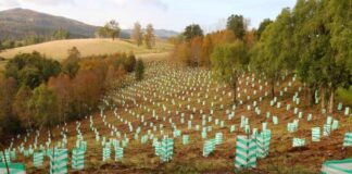 Amplían plazo de postulación al concurso público de cambio climático