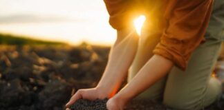 Azolem: El Bioestimulante Que Impulsa la Economía Circular y el Rol de la Mujer Rural en la Agricultura Chilena