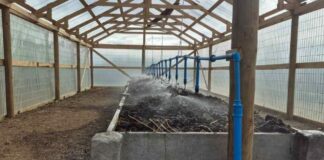 Biofertilizante líquido a través de la Lombricultura intensiva para la Producción de Arándanos