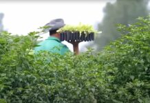 Brecha entre solicitudes migratorias y oferta laboral rural tensiona al agro chileno Brecha entre solicitudes migratorias y oferta laboral rural tensiona al agro chileno