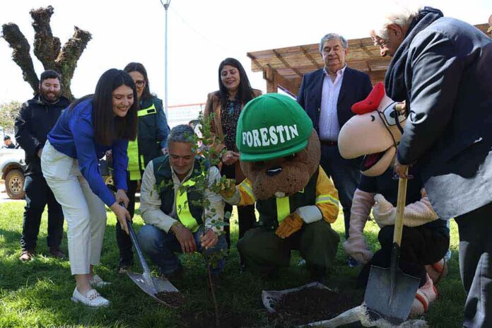 CONAF lanza campaña informativa para evitar las cortas ilegales de bosque CONAF lanza campaña informativa para evitar las cortas ilegales de bosque