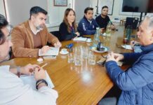 CONAF refuerza coordinación con Perú para frenar tráfico internacional de especies CONAF refuerza coordinación con Perú para frenar tráfico internacional de especies