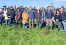 CONAF y APROVAL AG fortalecen trabajo para la restauración de bosques nativos a gran escala en predios ganaderos