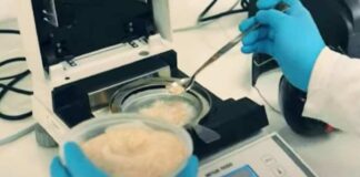 COTRISA lanza XI Circuito de Análisis de Calidad en Trigo 2025