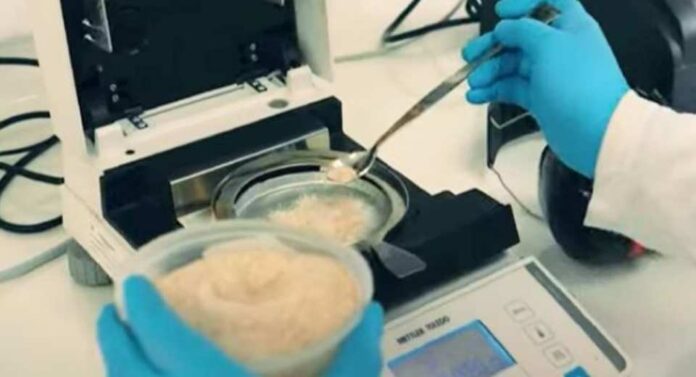 COTRISA lanza XI Circuito de Análisis de Calidad en Trigo 2025 COTRISA lanza XI Circuito de Análisis de Calidad en Trigo 2025