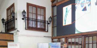 Carlos Meza en seminario "Sustentabilidad en el Cultivo de Avellano - Futuro del negocio del avellano en Chile y el mundo"