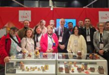 Chile participa en Apimondia 2025 con pabellón nacional en Copenhague