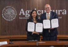 Chile y México acordaron la apertura de mercado para las naranjas chilenas Chile y México acordaron la apertura de mercado para las naranjas chilenas