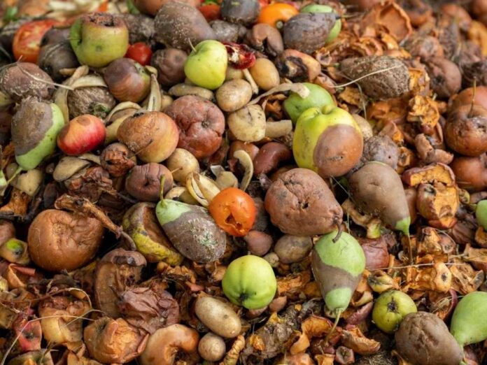 Ciencia y transferencia tecnológica para reducir el desperdicio de alimentos: el compromiso de CREAS