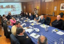 Comisión Nacional del Maíz analiza perspectivas de mercado y modernización estadística Comisión Nacional del Maíz analiza perspectivas de mercado y modernización estadística