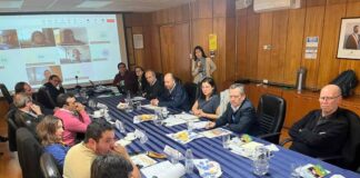 Comisión Nacional del Maíz analiza perspectivas de mercado y modernización estadística