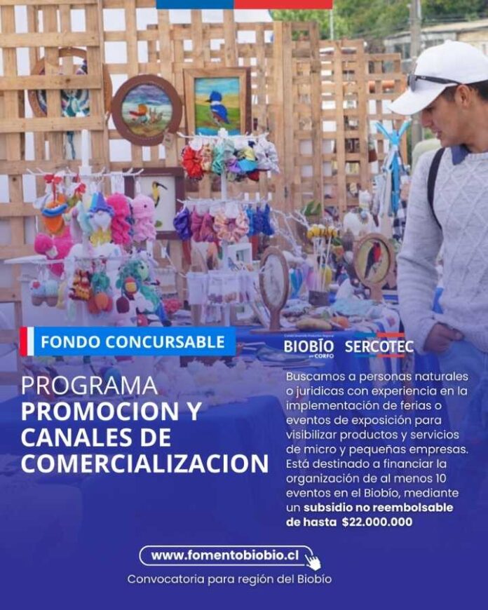 Comité CORFO Biobío y Sercotec abre nuevas convocatorias para fortalecer micro y pequeñas empresas de la región