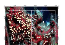 Con imágenes satelitales y vuelos de drones Ciren realizó un diagnóstico general de la salud vegetacional del Parque Luisa Sebiré de Cousiño de Quintero.