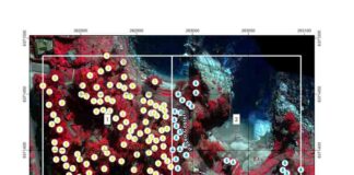 Con imágenes satelitales y vuelos de drones Ciren realizó un diagnóstico general de la salud vegetacional del Parque Luisa Sebiré de Cousiño de Quintero.