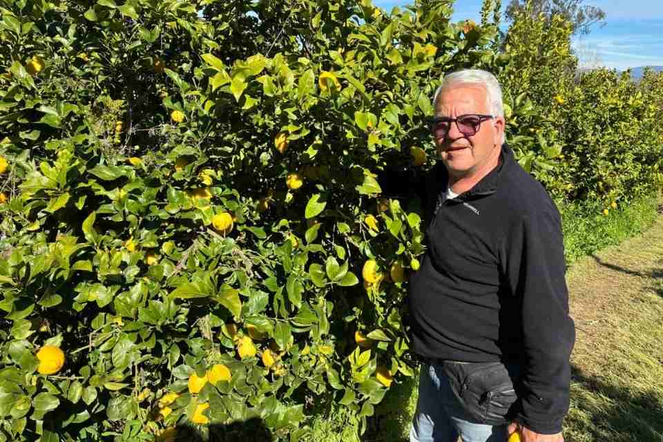 Portal Agro Chile reporta baja incidencia de plagas gracias a la Agricultura Regenerativa de Terragénesis