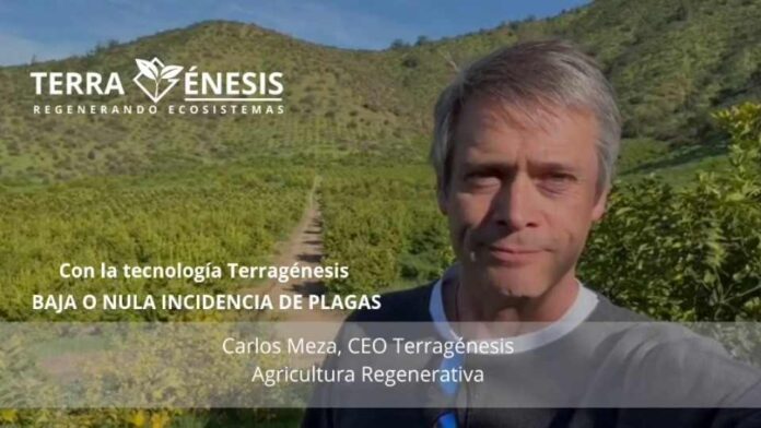 Control de plagas gracias a la Agricultura Regenerativa de Terragénesis Portal Agro Chile reporta baja incidencia de plagas gracias a la Agricultura Regenerativa de Terragénesis