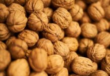 De la recuperación al rendimiento: la estrategia de Chilenut para mercados exigentes y postcosecha inteligente De la recuperación al rendimiento: la estrategia de Chilenut para mercados exigentes y postcosecha inteligente