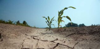 Déficit de lluvias marca un invierno frío y proyecta primavera seca y calurosa