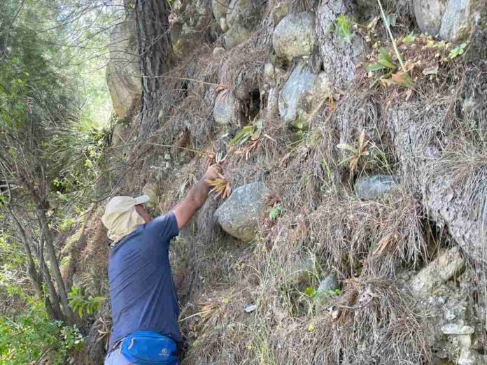 Desaparición silenciosa de la biodiversidad