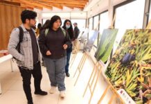 Descubren nuevas especies de arácnidos e insectos en la Región de Coquimbo Descubren nuevas especies de arácnidos e insectos en la Región de Coquimbo