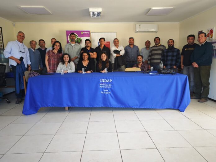 Agricultores de la Provincia de Petorca exponen sus principales urgencias energéticas en conversatorio con Seremi de Energía y actores del rubro