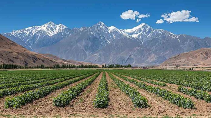 ESTUDIO INTERNACIONAL DESTACA A CHILE COMO PAÍS A LA VANGUARDIA EN AGRICULTURA DIGITAL Y SOSTENIBLE EN AMÉRICA LATINA ESTUDIO INTERNACIONAL DESTACA A CHILE COMO PAÍS A LA VANGUARDIA EN AGRICULTURA DIGITAL Y SOSTENIBLE EN AMÉRICA LATINA