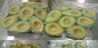 El agro peruano conquista a China: debut de la palta congelada en Shanghái