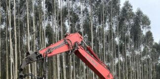 El empleo de excavadoras garantiza productividad y ahorro en áreas forestales (1)