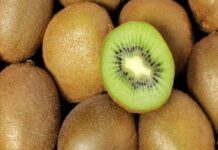 El kiwi chileno acelera su expansión global: India y Brasil lideran el consumo El kiwi chileno acelera su expansión global: India y Brasil lideran el consumo