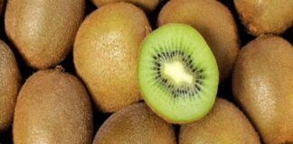 El kiwi chileno acelera su expansión global: India y Brasil lideran el consumo