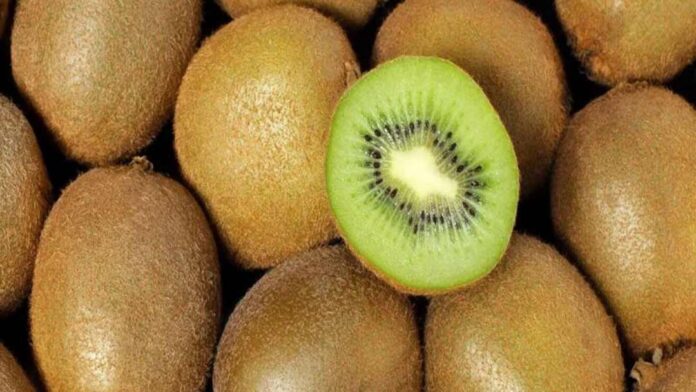 El kiwi chileno acelera su expansión global: India y Brasil lideran el consumo
