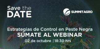 El riesgo para la cosecha es mayor que nunca webinar abordará el control de la peste negra en los nogales chilenos