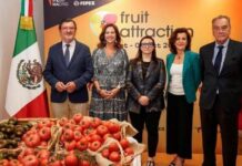El tomate será la estrella de Fruit Attraction 2025