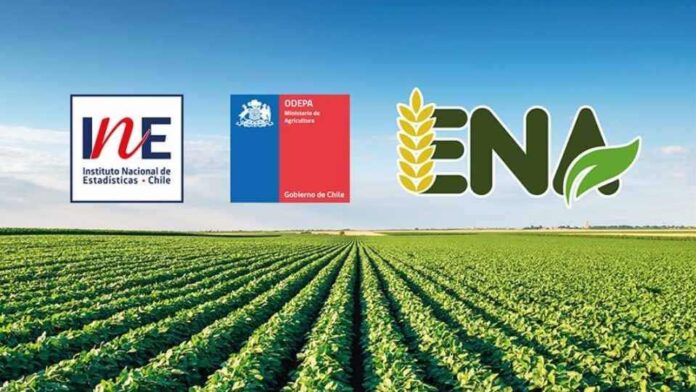 En septiembre parte la Encuesta Nacional Agropecuaria 2025, una nueva herramienta clave para la generación de estadísticas agropecuaria