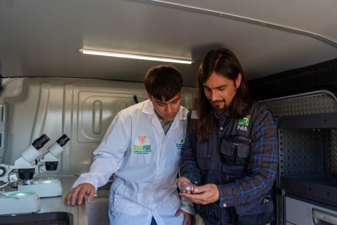 Estudiantes aprenden a producir insectos benéficos en Coquimbo Estudiantes aprenden a producir insectos benéficos en Coquimbo