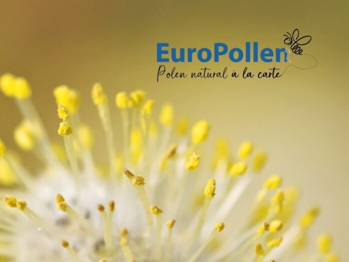 EuroPollen: La Foodtech Chilena que Lidera la Polinización Asistida Mundial Desembarca en Fruit Attraction 2025