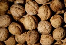 Exportaciones de nueces chilenas crecen un 45% y conectan con nuevos mercados