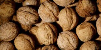Exportaciones de nueces chilenas crecen un 45% y conectan con nuevos mercados