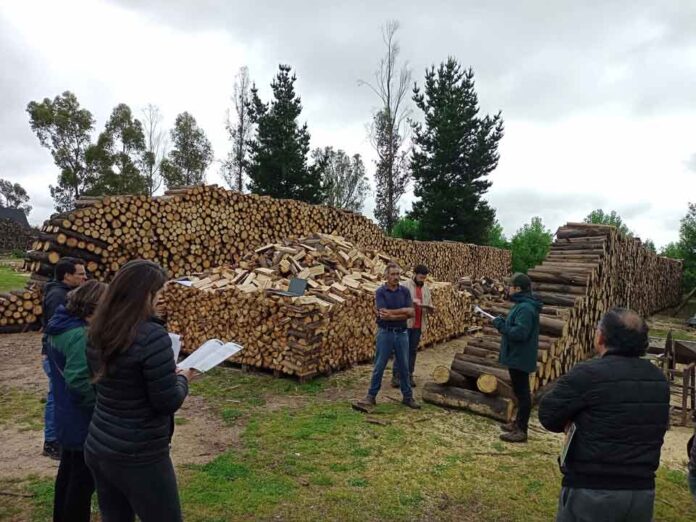Fondo de Leña Más Seca: 44% de los proyectos adjudicados contaron con asesoría técnica de CONAF