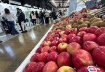 Fruittrade 2025 reunirá a empresas y profesionales del mundo frutícola el 22 y 23 de octubre en Espacio Riesco Fruittrade 2025 reunirá a empresas y profesionales del mundo frutícola el 22 y 23 de octubre en Espacio Riesco