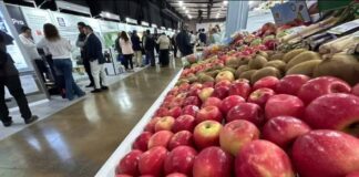 Fruittrade 2025 reunirá a empresas y profesionales del mundo frutícola el 22 y 23 de octubre en Espacio Riesco
