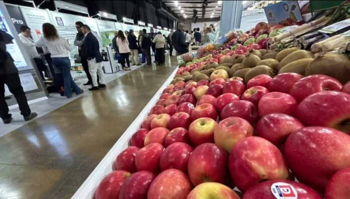 Fruittrade 2025 reunirá a empresas y profesionales del mundo frutícola el 22 y 23 de octubre en Espacio Riesco Fruittrade 2025 reunirá a empresas y profesionales del mundo frutícola el 22 y 23 de octubre en Espacio Riesco