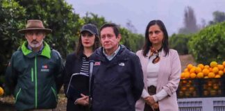 Frutas de Chile celebra ingreso de las naranjas chilenas al mercado mexicano