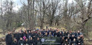 Fundación Reforestemos consolida más de una década restaurando la Patagonia