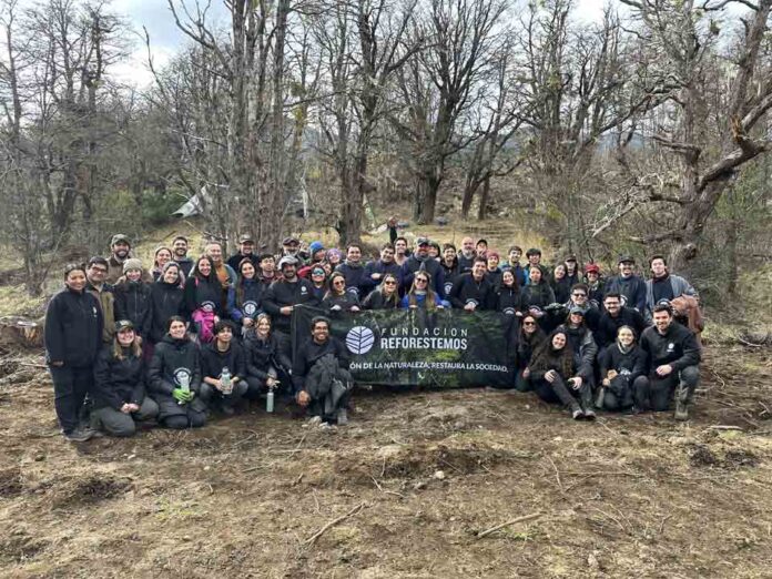 Fundación Reforestemos consolida más de una década restaurando la Patagonia Fundación Reforestemos consolida más de una década restaurando la Patagonia