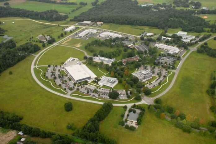 De Hijuelas a EE.UU.: Grupo Hijuelas se expande a Florida para liderar la innovación global De Hijuelas a EE.UU.: Grupo Hijuelas se expande a Florida para liderar la innovación global